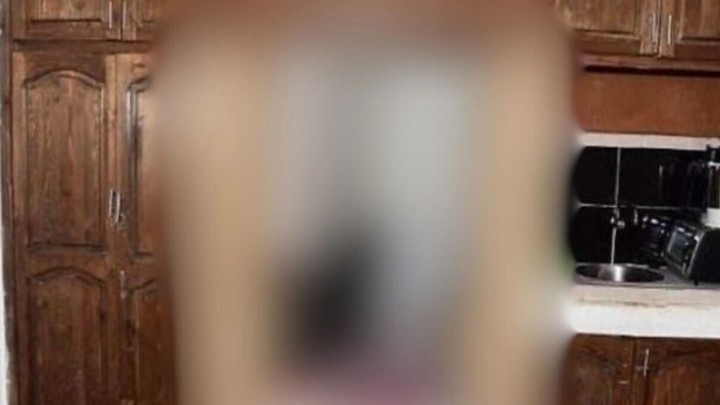 Foto: Bauštelske 'Kronike iz Narnije'